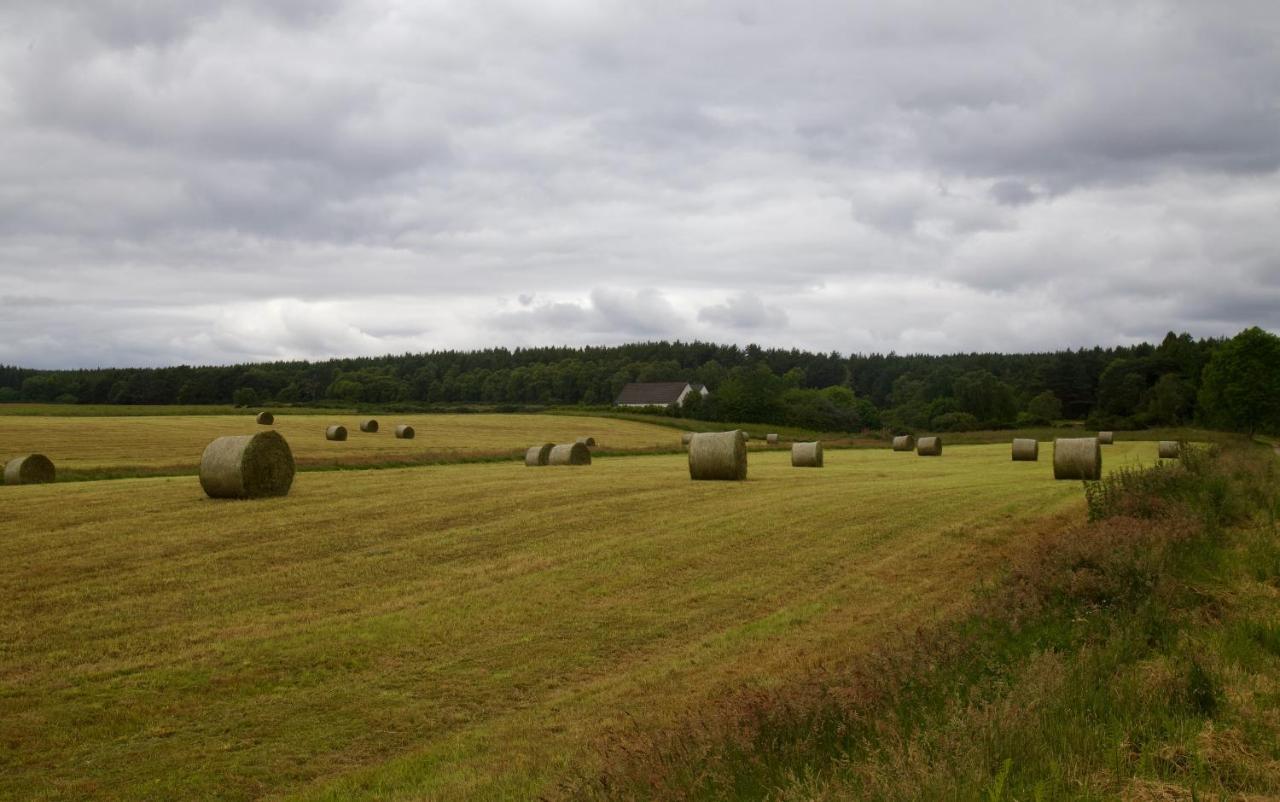 Clashmore Wood Dornoch Exterior photo
